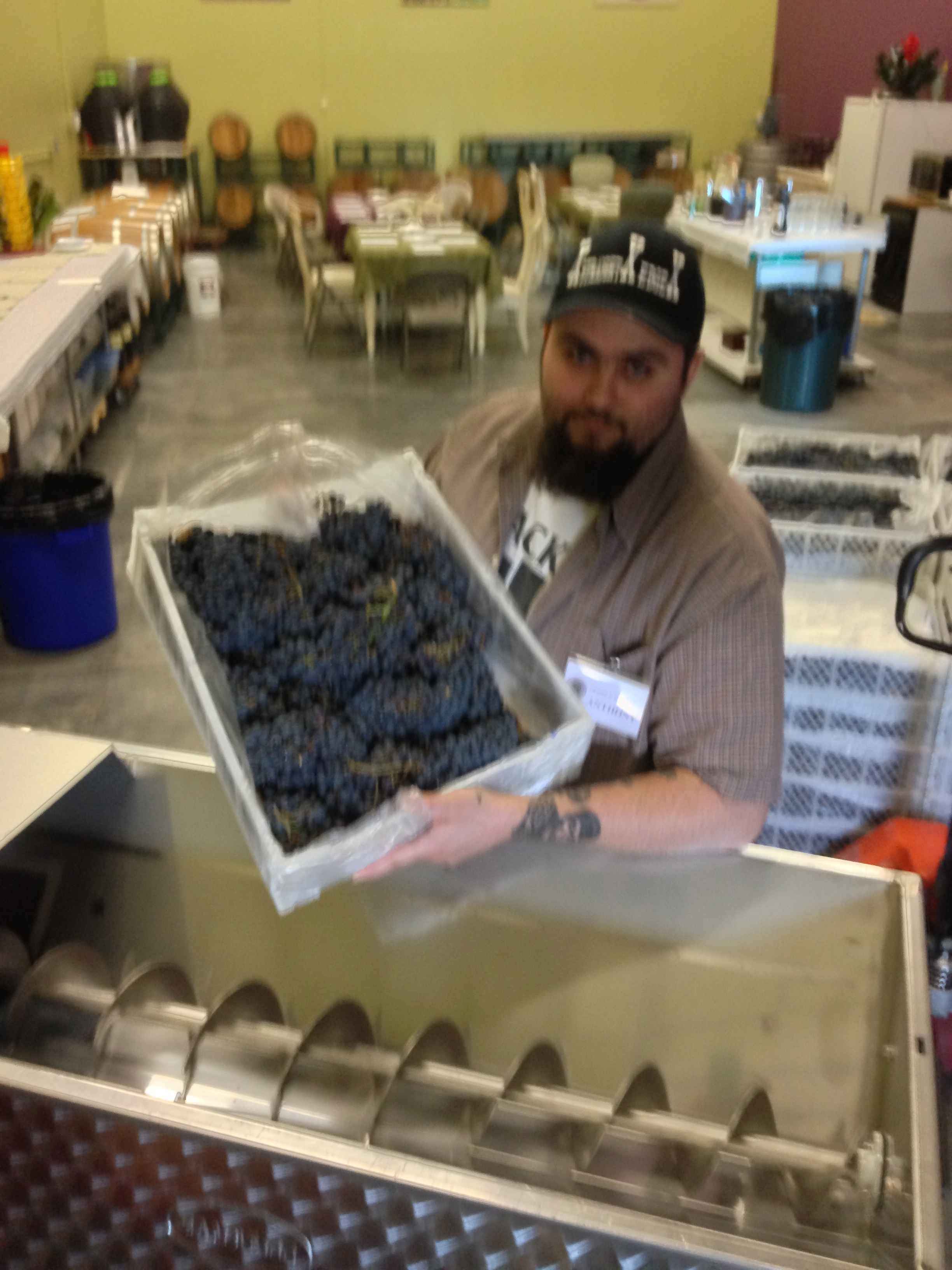 Grapes N’ Barrels NJ Winemaking and NJ Winemaking School in Sayerville