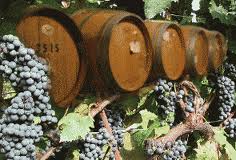 Grapes with Barrels pic